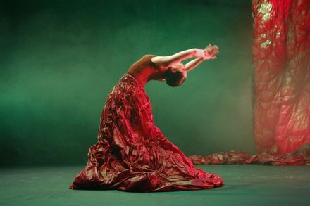 Festival Flamenco de Nîmes 2024